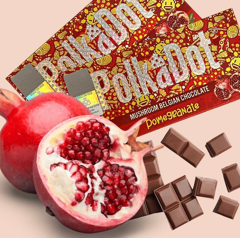 Polkadot Chocolate Store: Discover the Magic in Mushroom Chocolate Bars